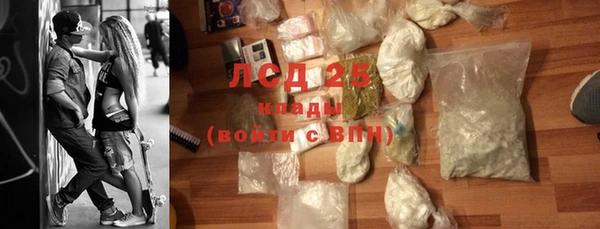 прущие грибы Коряжма