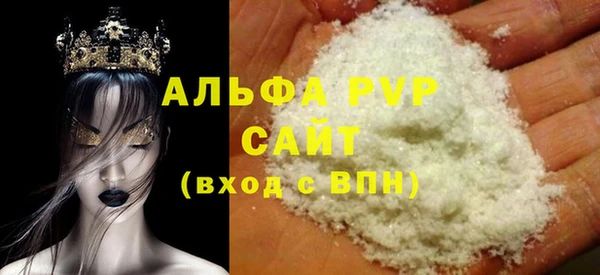 прущие грибы Коряжма