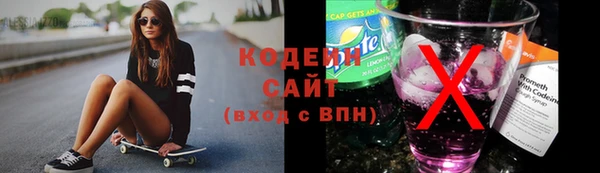 прущие грибы Коряжма