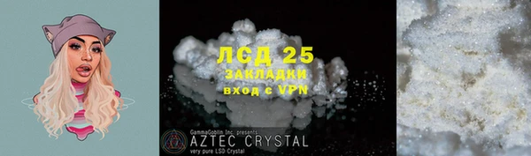 прущие грибы Коряжма