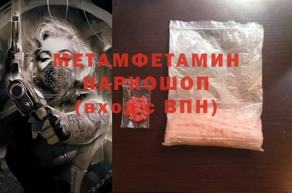 прущие грибы Коряжма