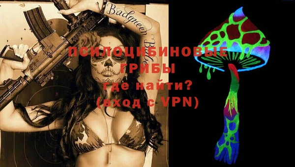 прущие грибы Коряжма