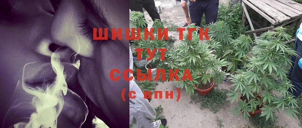 мяу мяу мука Корсаков