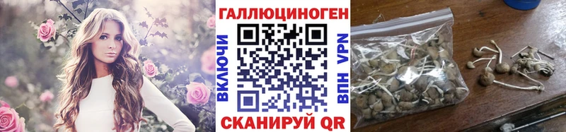 Купить  Нижний Новгород  Галлюциногенные грибы прущие грибы 